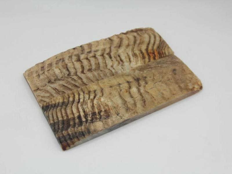 Ріг гірського Барана - Накладки №1