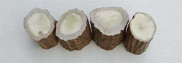 Проставка для руків'я з лосиного рогу 30 мм (діаметр 25+ мм.)