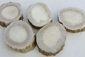 Проставки для руків'я з лосиного рогу 10 мм (діаметр 35 мм.)