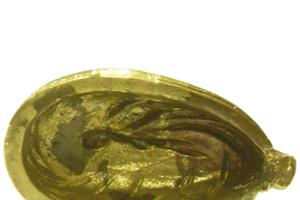 Тильник "Дикий Кабан"