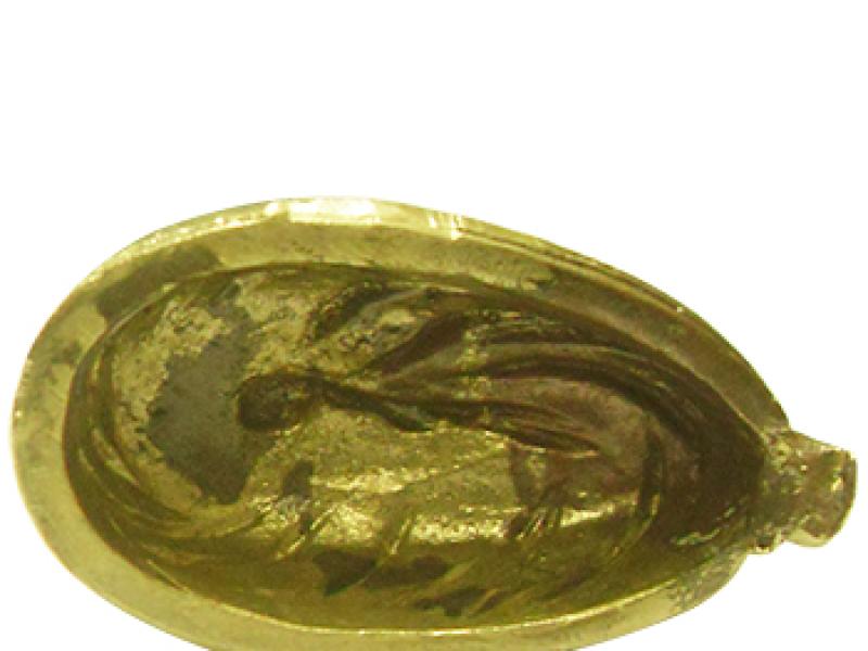 Тильник "Дикий Кабан"