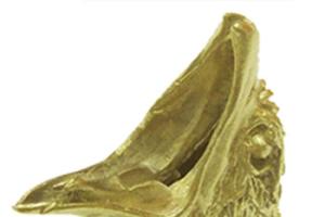 Гарда Голова Яструба