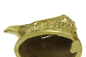 Гарда Голова Яструба