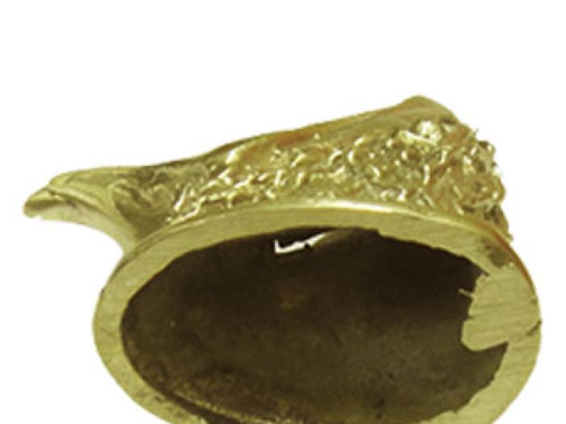 Гарда Голова Яструба