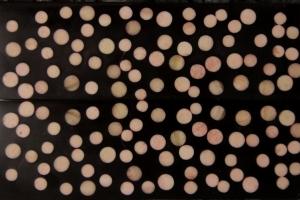 Накладки "Sapphire Naturals" - №3 - Кістка верблюда