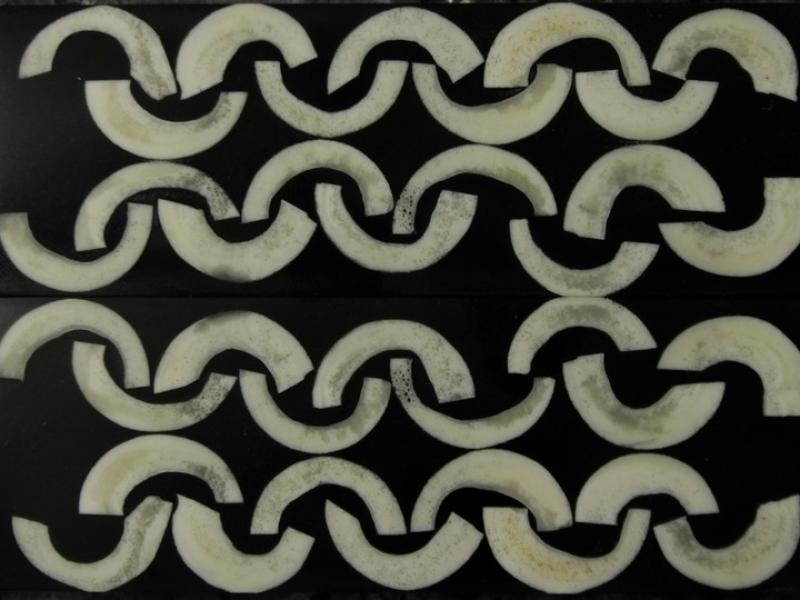 Накладки "Sapphire Naturals" - №6 - Кістка верблюда