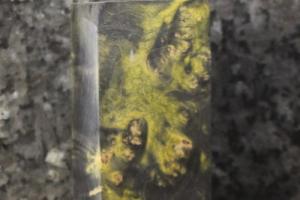 Стабілізований кленовий кап - брусок №31