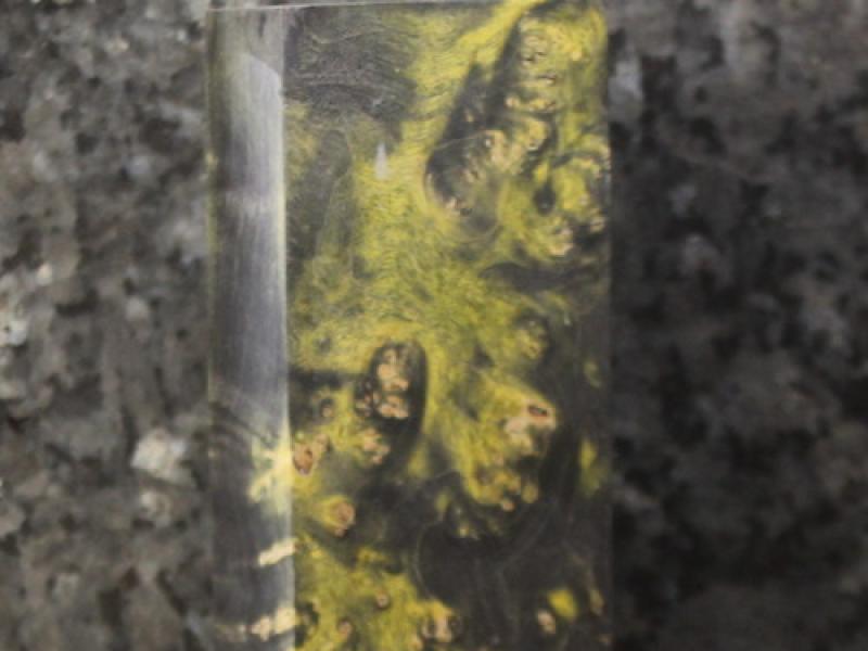 Стабілізований кленовий кап - брусок №31