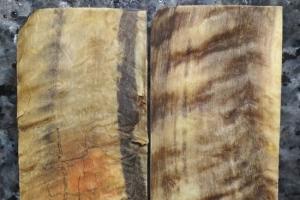 Ріг гірського Барана - Накладки №3