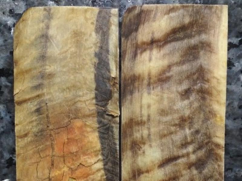 Ріг гірського Барана - Накладки №3