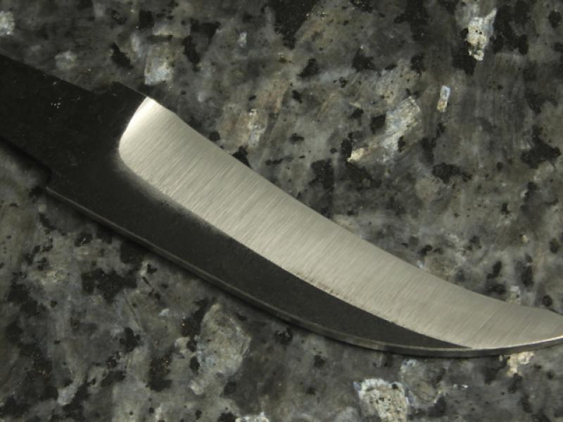 Lauri Field Dressing 78