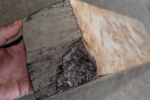 Кап Киргизького горіху "Золотистий" - Брусок №27 - 90x110x250 мм.