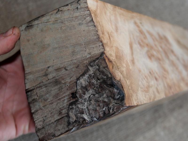 Кап Киргизького горіху "Золотистий" - Брусок №27 - 90x110x250 мм.