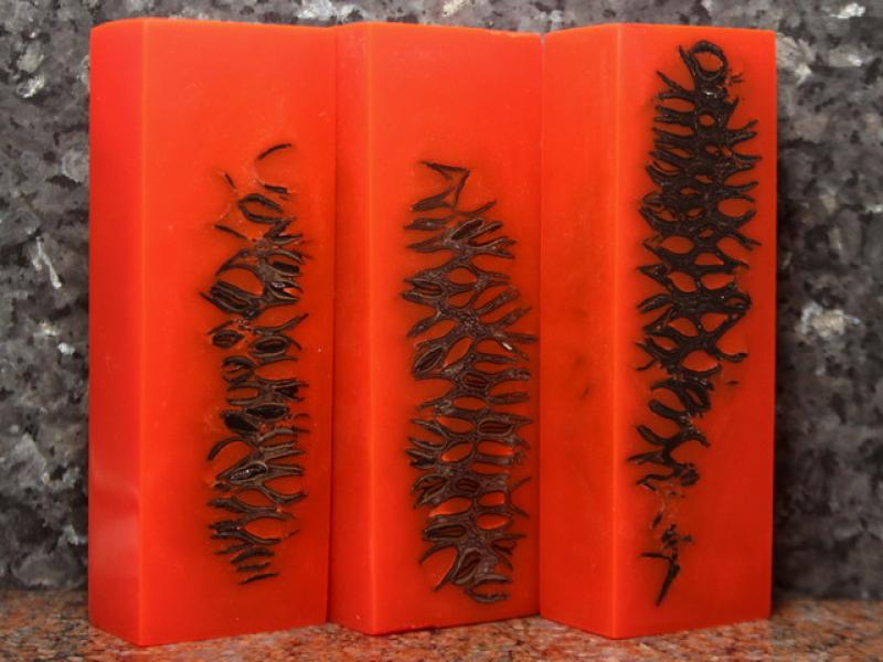 Брусок - Sapphire Naturals - Banksia Cones - Помаранчевий.