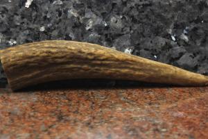 Ріг лосиний стабілізований - Вістря