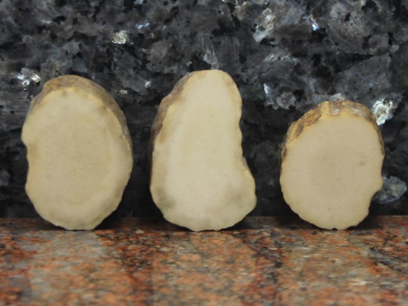 Ріг лосиний стабілізований - Проставка Кругла