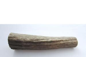 Циліндр із Лосиного рогу - малий.