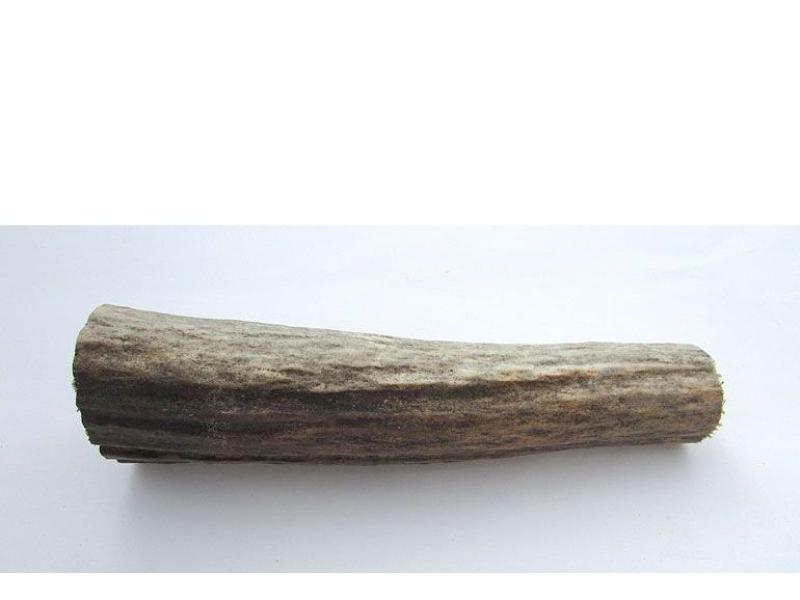 Циліндр із Лосиного рогу - малий.