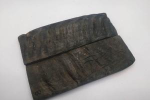 Ріг гірського Барана - Накладки №8