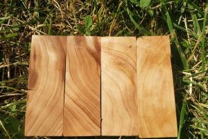 Брусок Берест (Ельм, В'яз) - Сувель